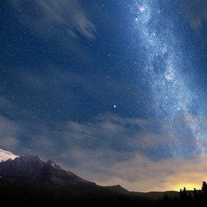 Meet your Posher, Oscar